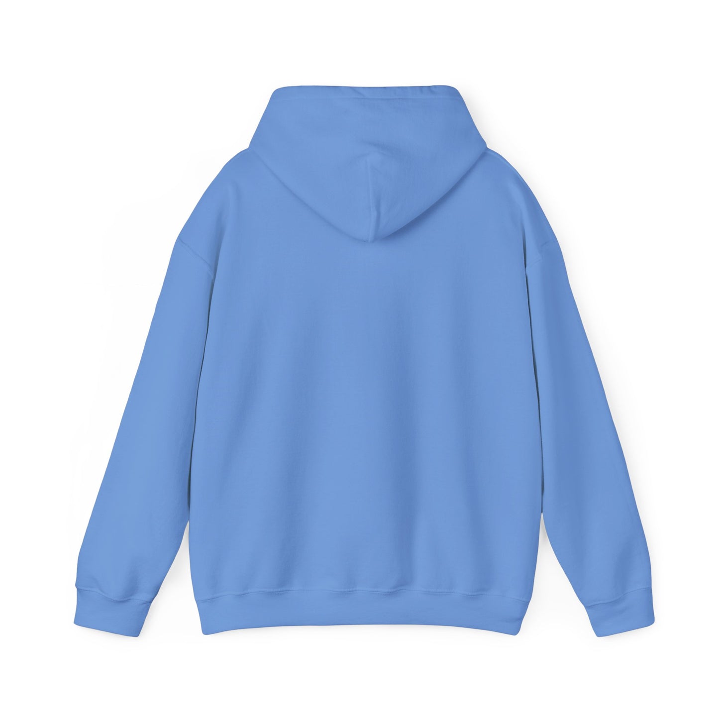 Back of Carolina Blue colored hooded sweatshirt hood extended - plain no graphic