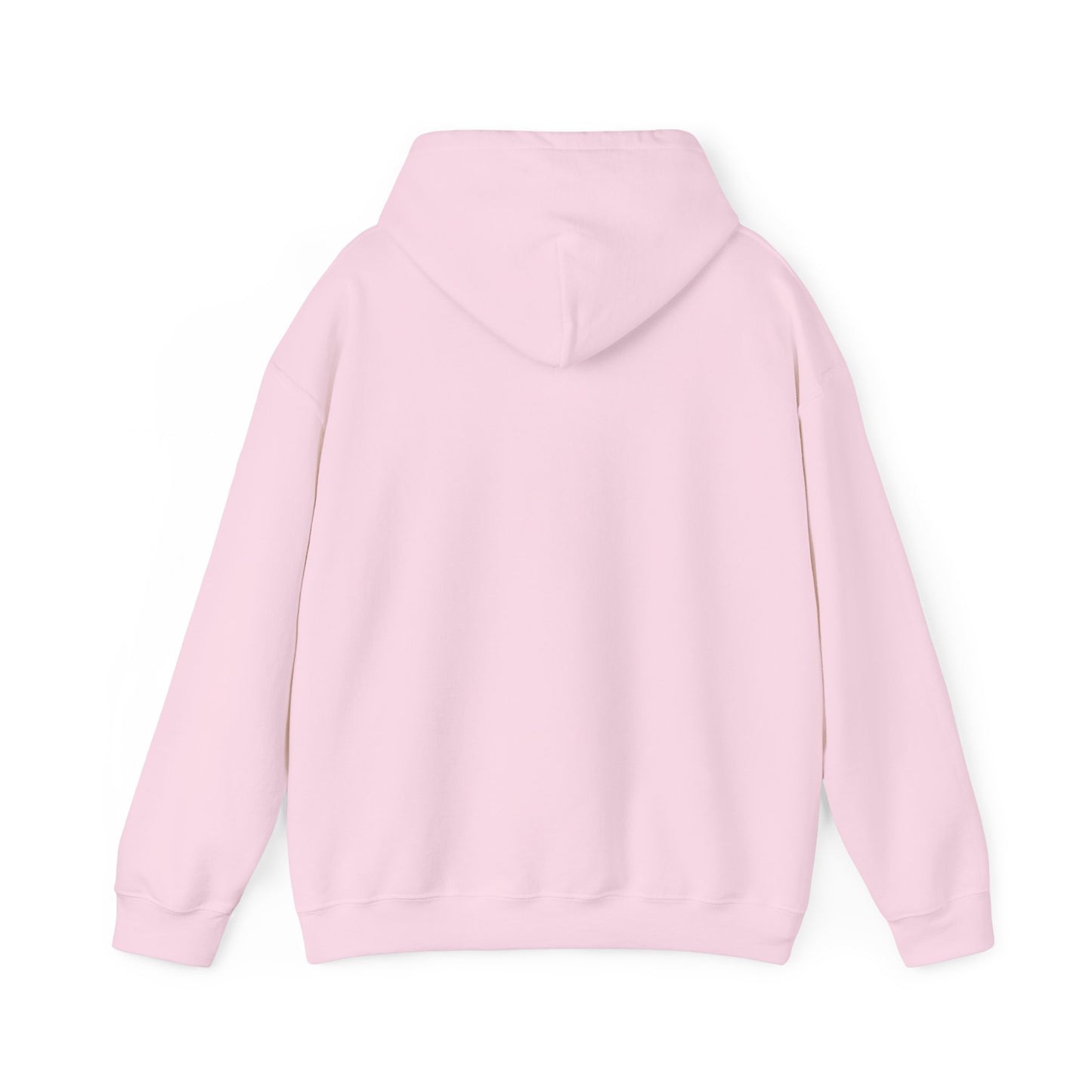 Back of Light Pink hoodie sweatshirt - plain, no graphic