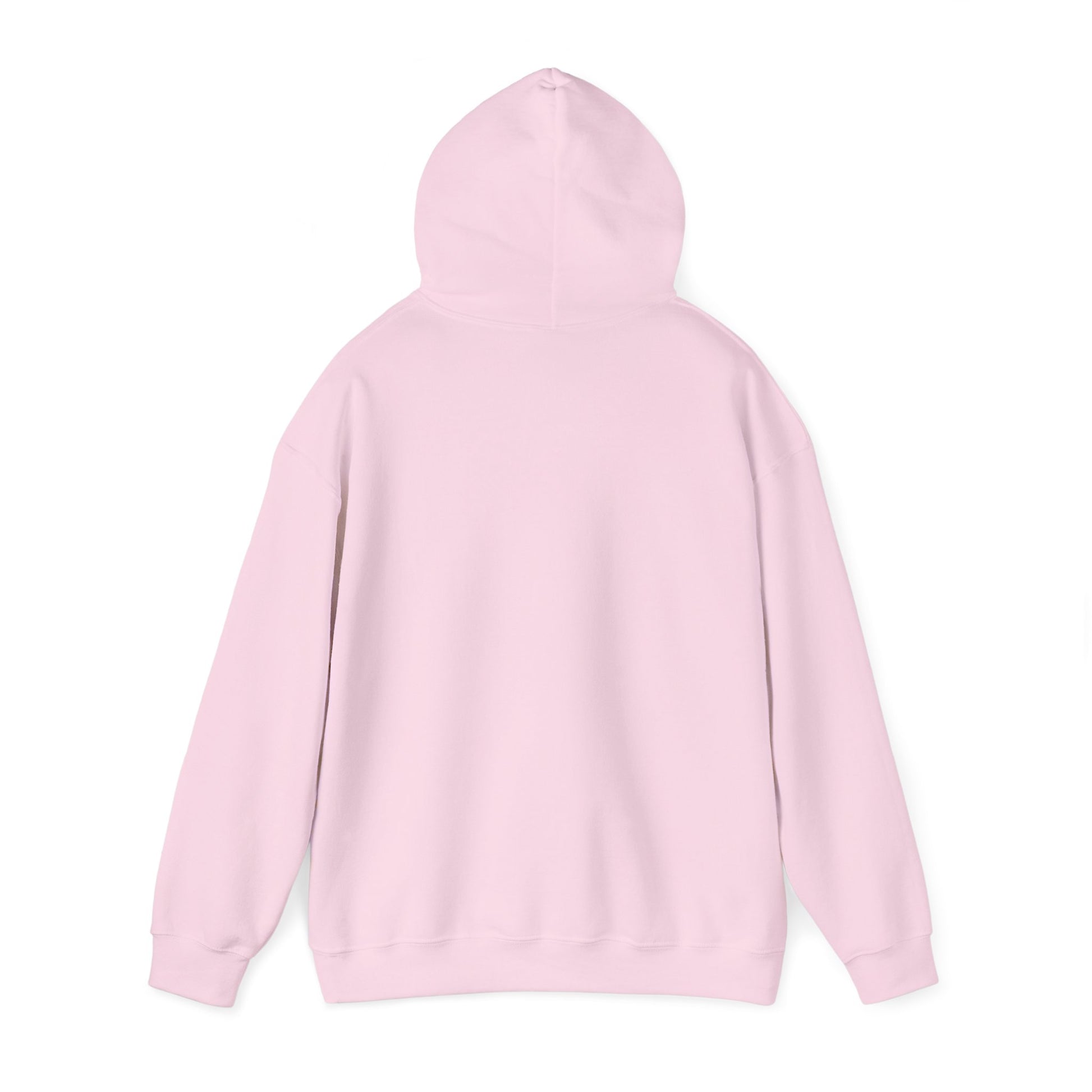 Back of light pink colored hoodie - plain, no graphic