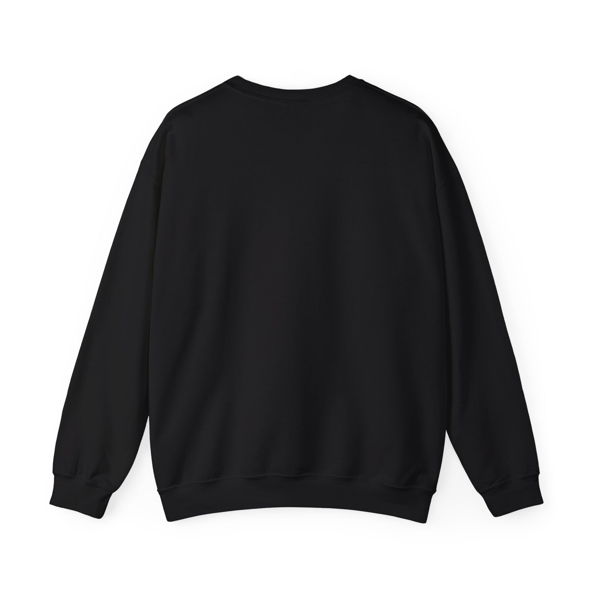 Back of black crewneck sweatshirt - plain, no graphic