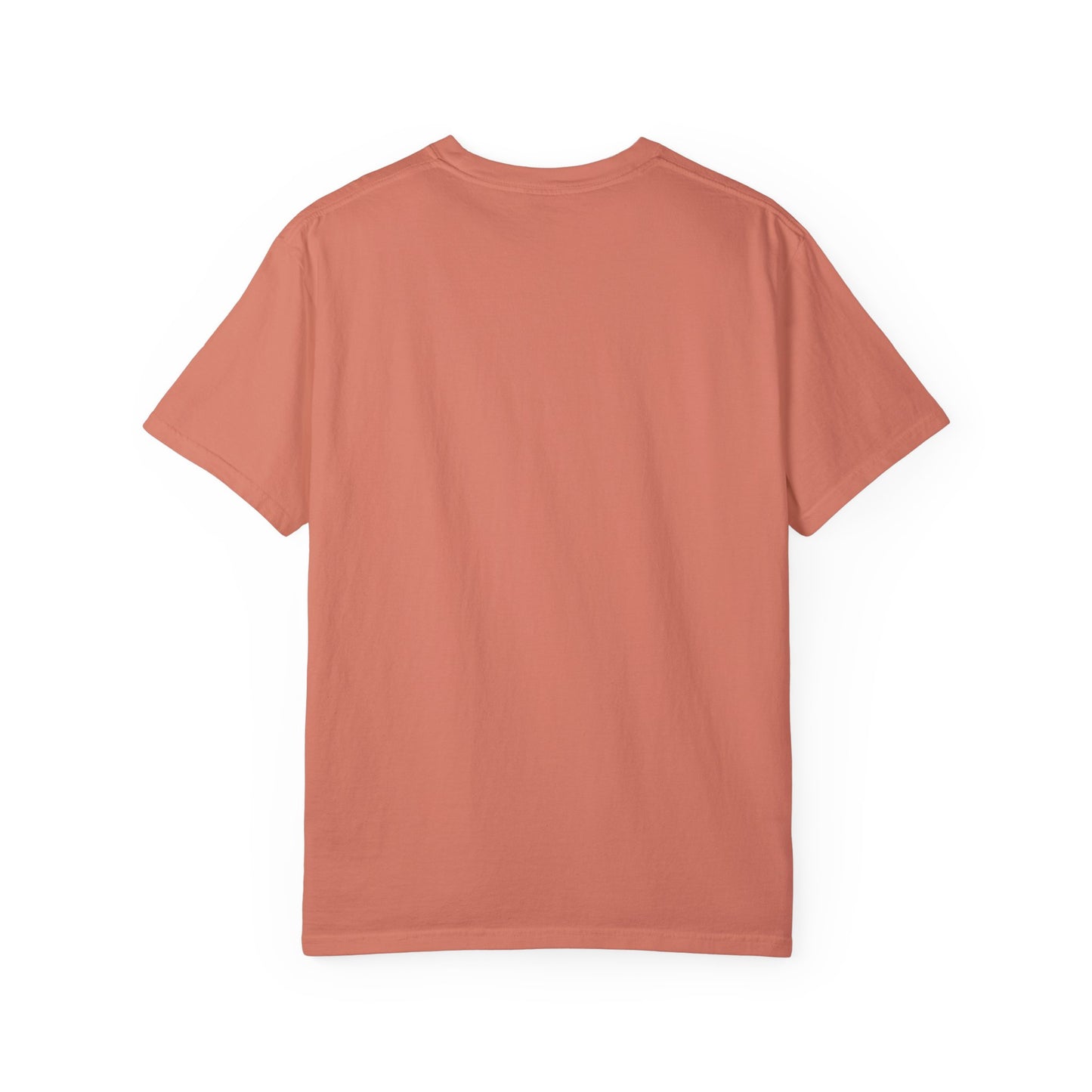 Back view of terracotta t-shirt - plain, no graphic